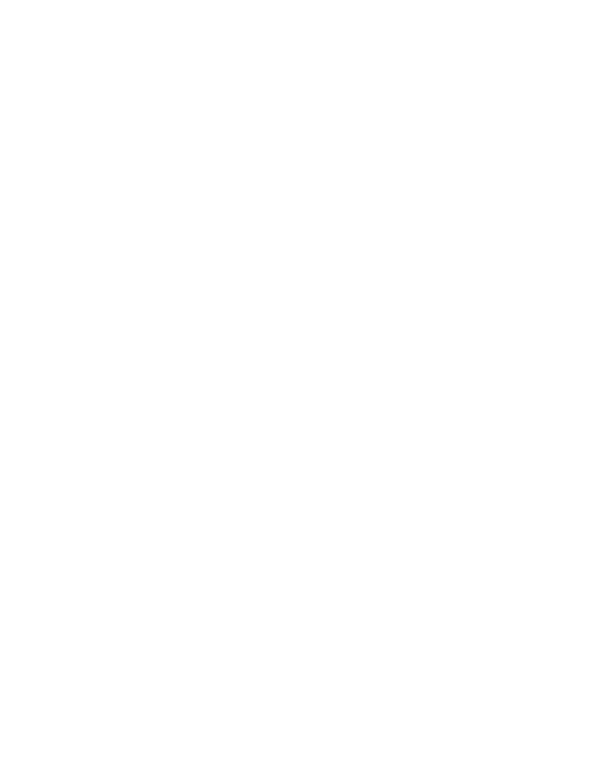 Niko Icon 2